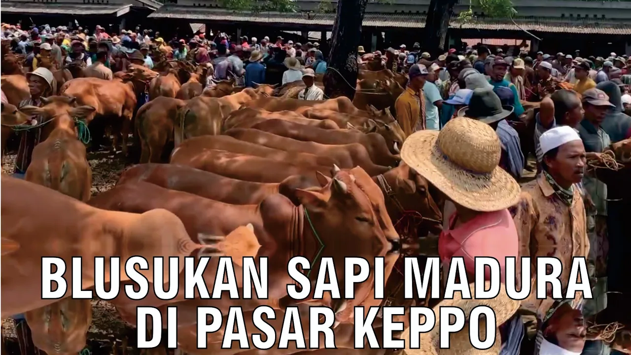 gb-03062023-08.12.13-Pasar-Sapi-Madura-Keppo.jpg