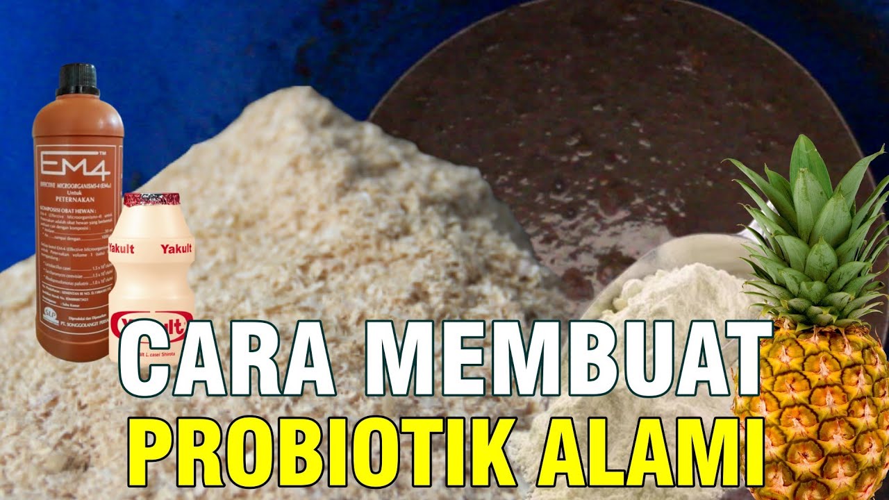 gb-03102022-04.25.14-Cara-membuat-Probiotik-Pakan-Ternak-Bahan-Fermentasi.jpg