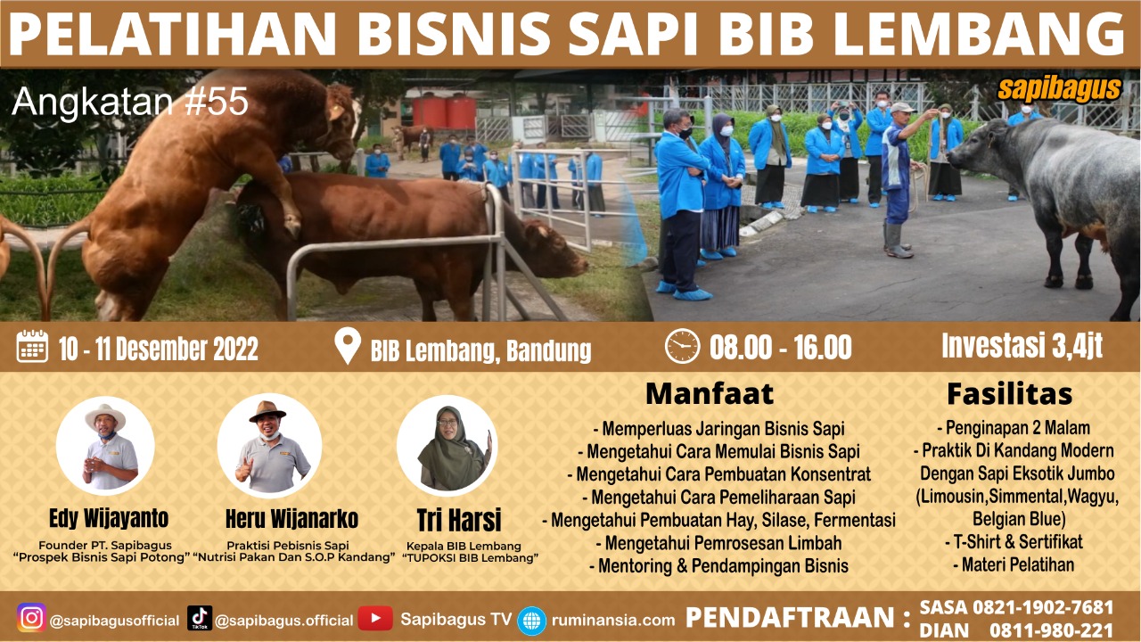 gb-03122022-09.06.51-Pendaftaran-Pelatihan-Bisnis-Sapi-Angkatan-55-BIB-Lembang.jpg