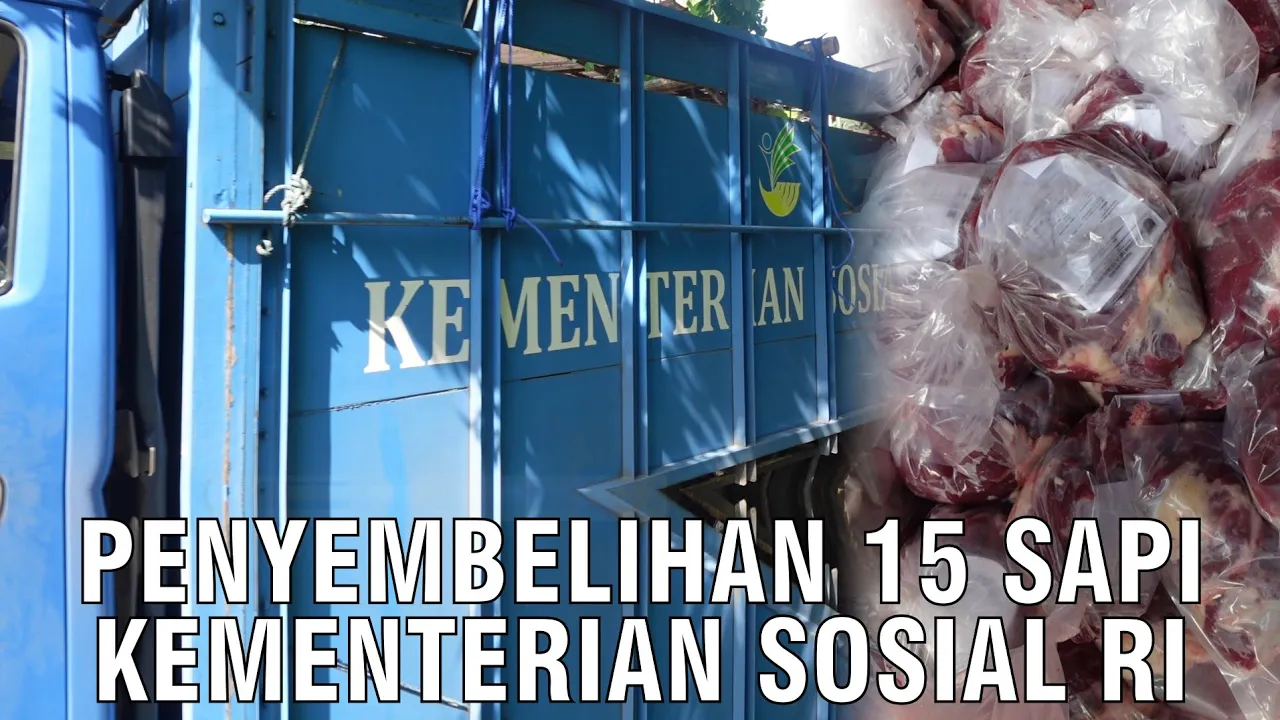 gb-08092023-03.39.27-Sapi-Qurban-Kementerian-Sosial-Republik-Indonesia-2023-Di-Sembelih.jpg