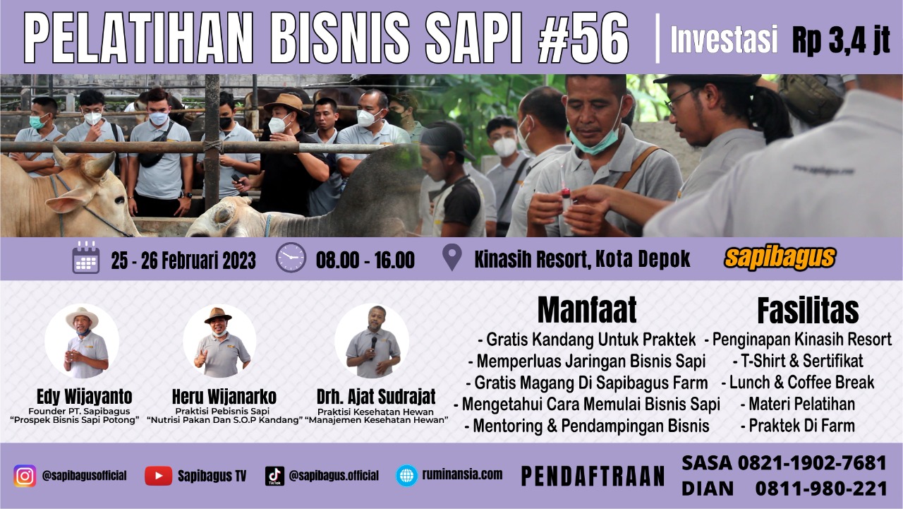 gb-12012023-03.11.56-Flyer-Pelatihan-Bisnis-Sapi-Angkatan-56-Sapibagus.jpg