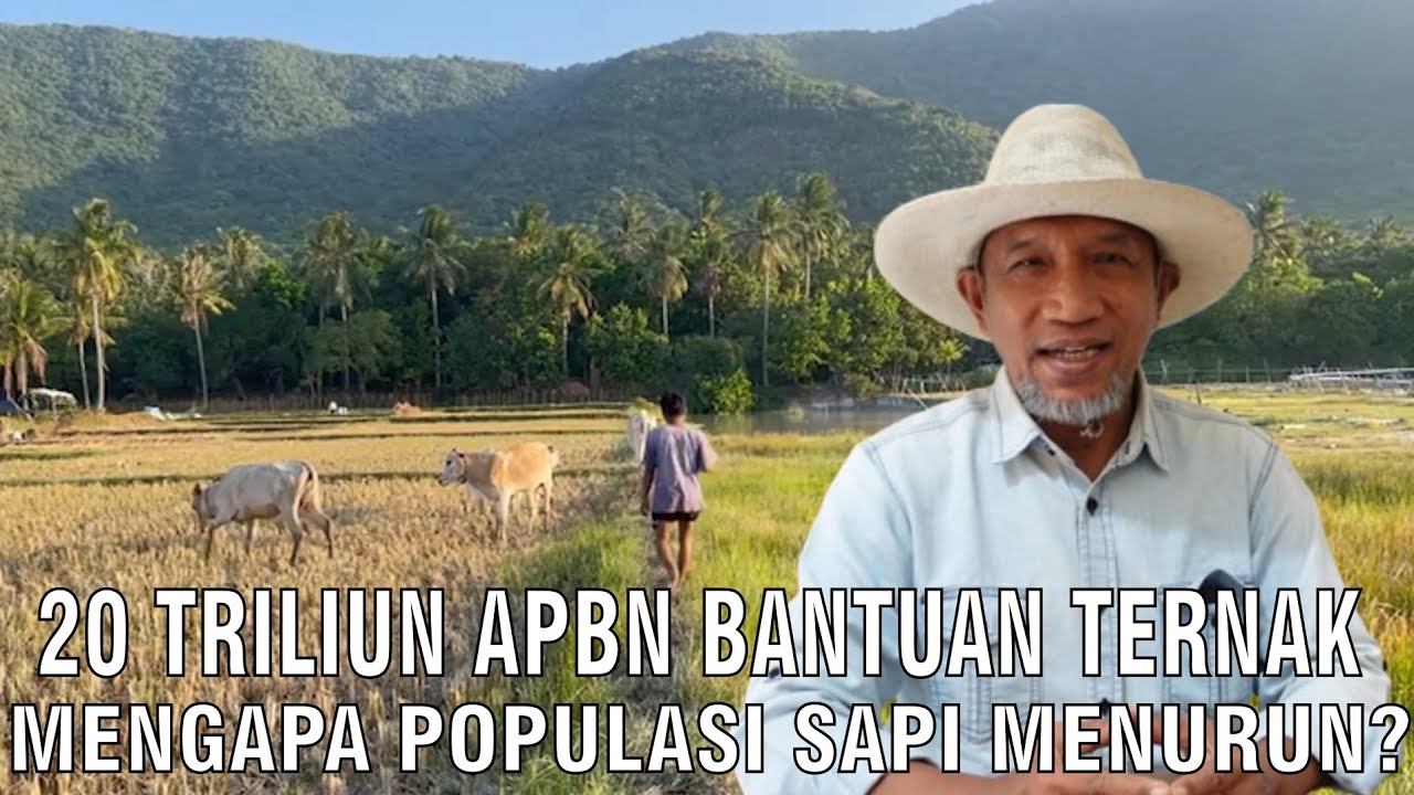 gb-12022024-09.04.18-Populasi-Sapi-Indonesia-Menurun.jpg