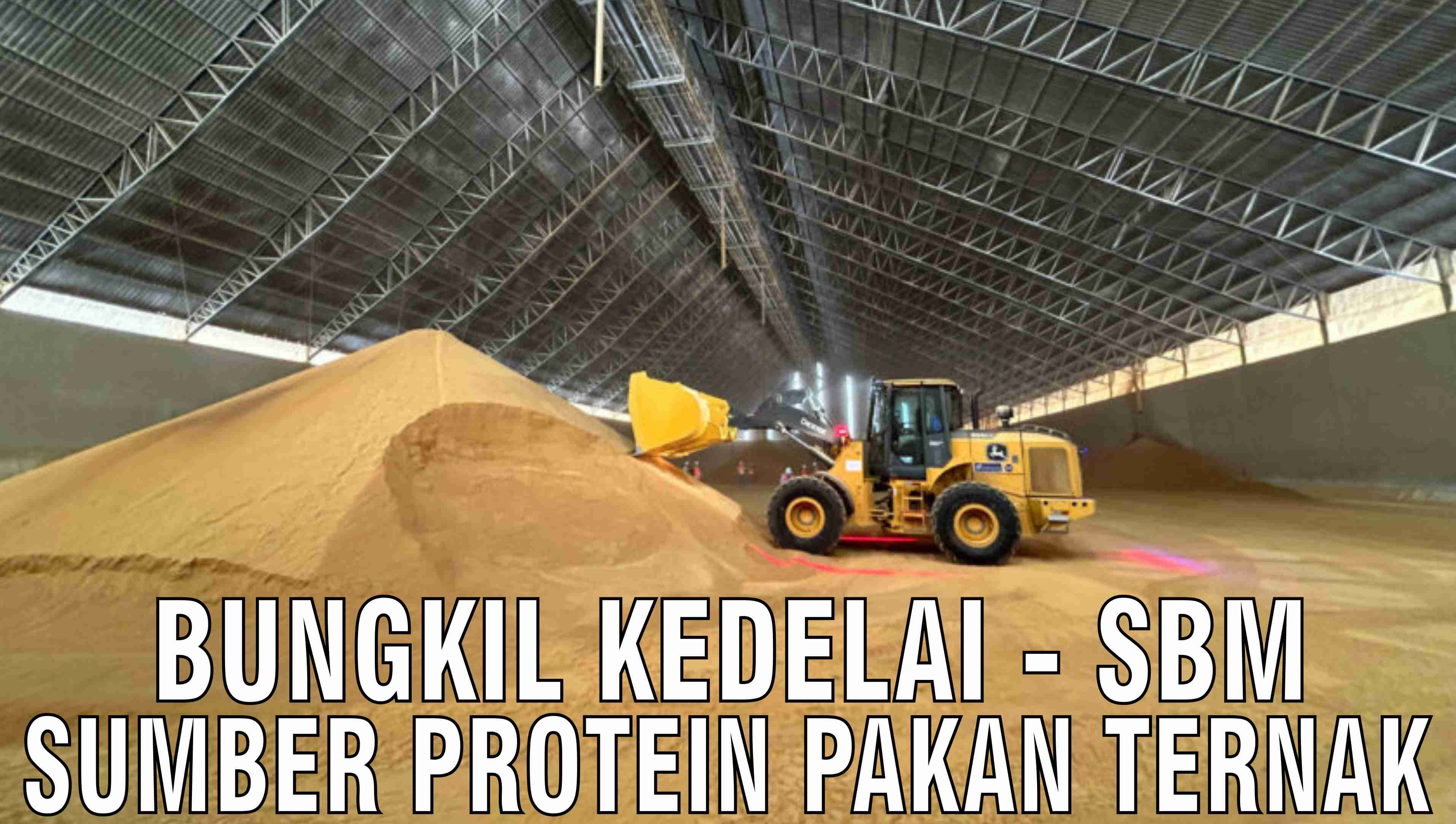 gb-14102024-08.05.47-Bungkil-Kedelai-SBM-Pakan-Ternak-Tinggi-Protein.jpg