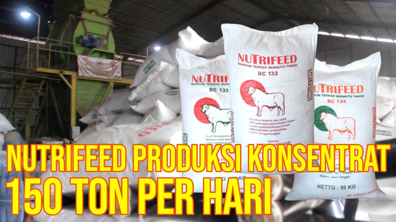 gb-14112022-08.23.00-Konsentrat-Nutrifeed-Pakan-Sapi-Produksi-150-Ton-Perhari.jpg