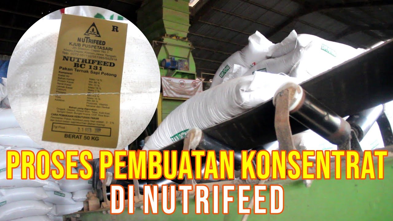 gb-16112023-03.54.08-Proses-Produksi-Konsentrat-Nutrifeed.jpg