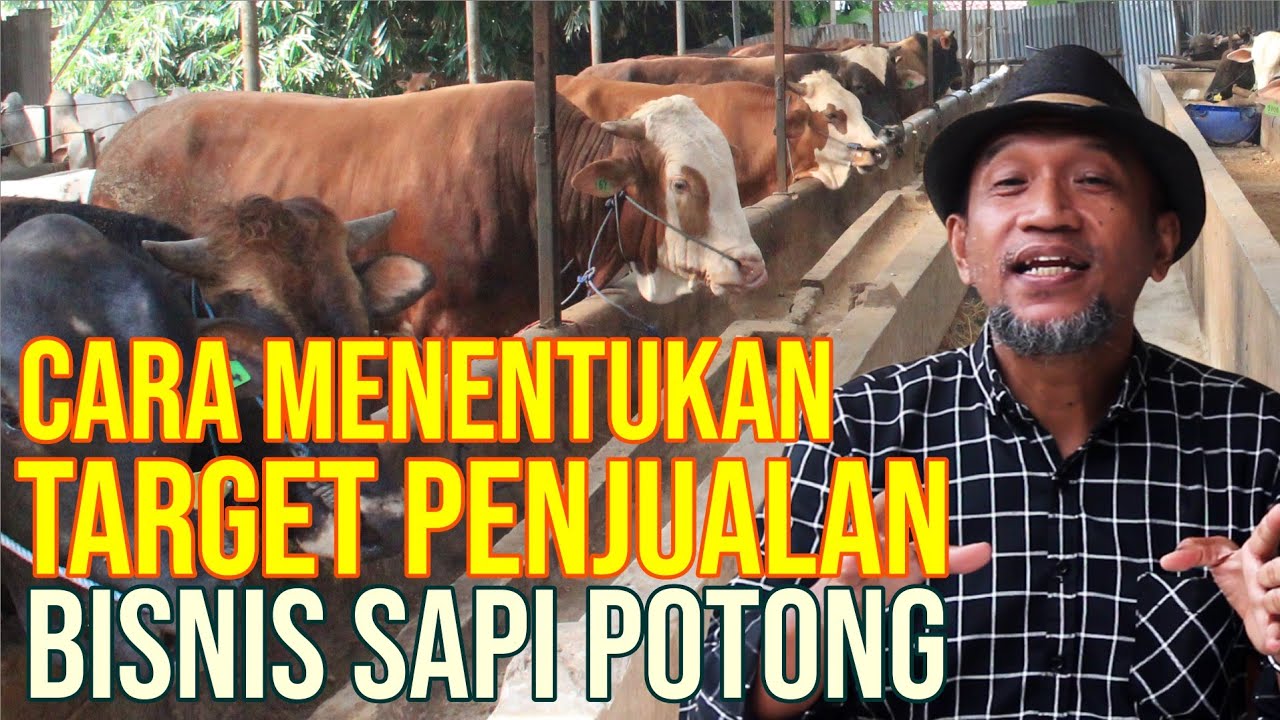 gb-21122022-06.24.09-Berapa-Harga-Jual-Sapi-Dan-Target-Penjualannya.jpg