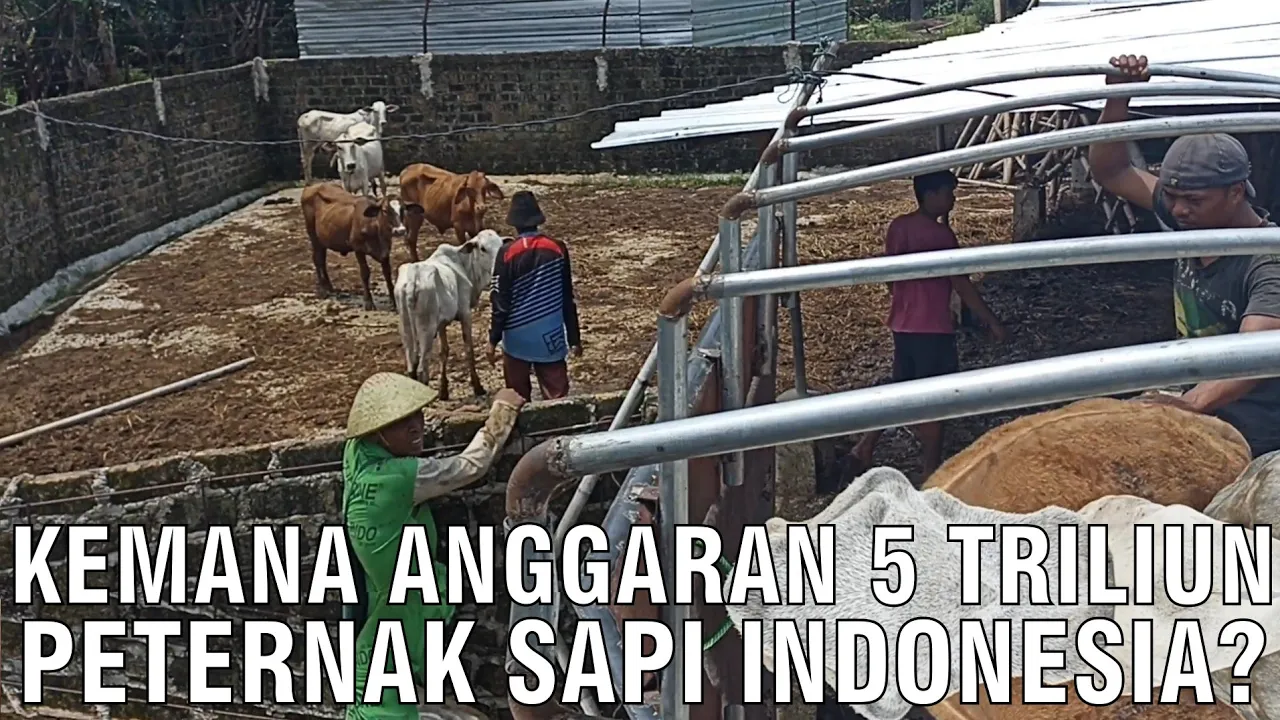 gb-23092023-06.33.18-Anggaran-Dana-Bantuan-Peternak-Sapi-5-Triliun.jpg