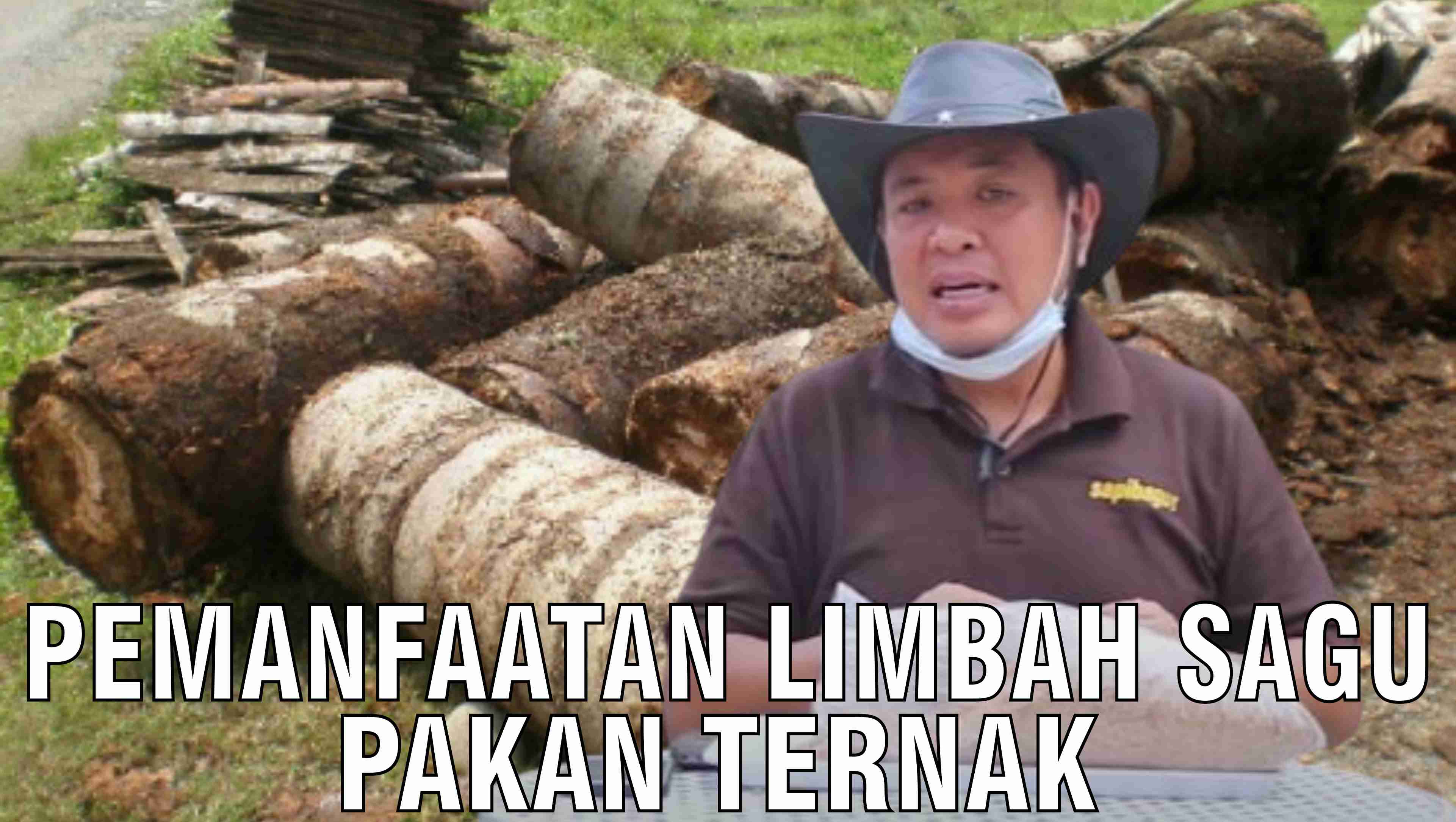 Pemanfaatan Limbah Sagu Pakan Ternak