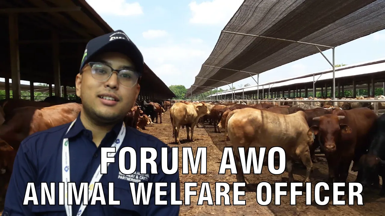 gb-24012024-08.31.05-Forum-AWO-Animal-Welfare-Indonesia.jpg