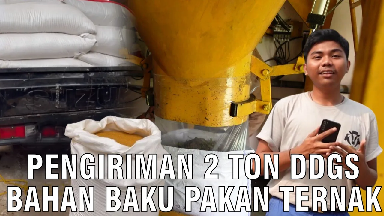 gb-24042024-04.42.12-Pengiriman-2-Ton-DDGS-Bahan-Pakan-Ternak.jpg