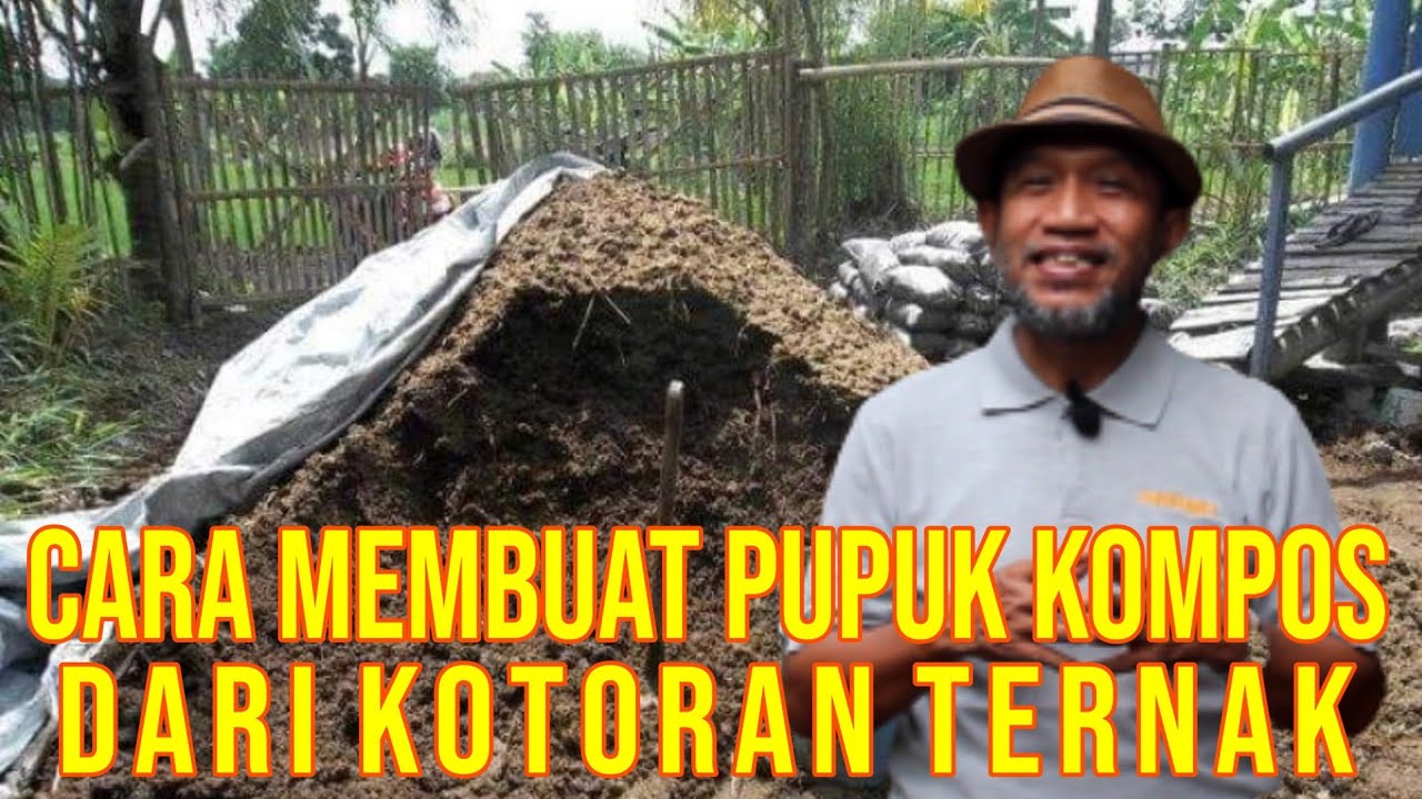 gb-26092022-08.08.08-Pupuk-Kompos-Kotoran-Sapi-Cara-Pembuatan.jpg