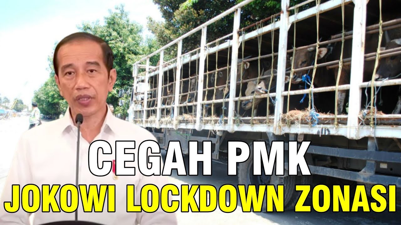 gb-27092022-11.23.46-Cegah-PMK-Jokowi-Lockdown-Zonasi-Lalu-Lintas-Ternak-Sapi-Kambing-Domba.jpg