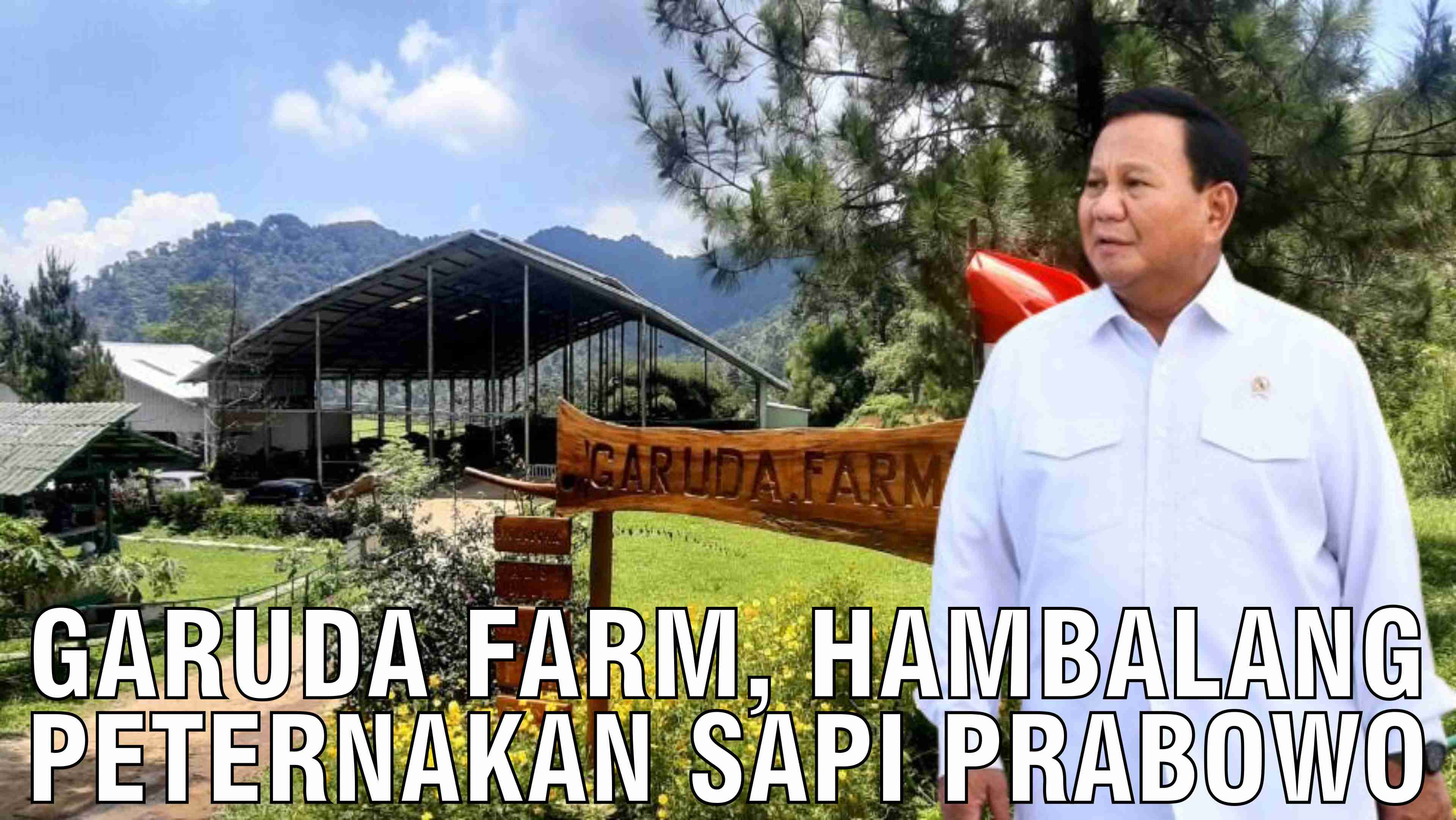 gb-29102024-05.12.09-Garuda-Farm-Hambalang-Peternakan-Sapi-Presiden-Prabowo.jpg