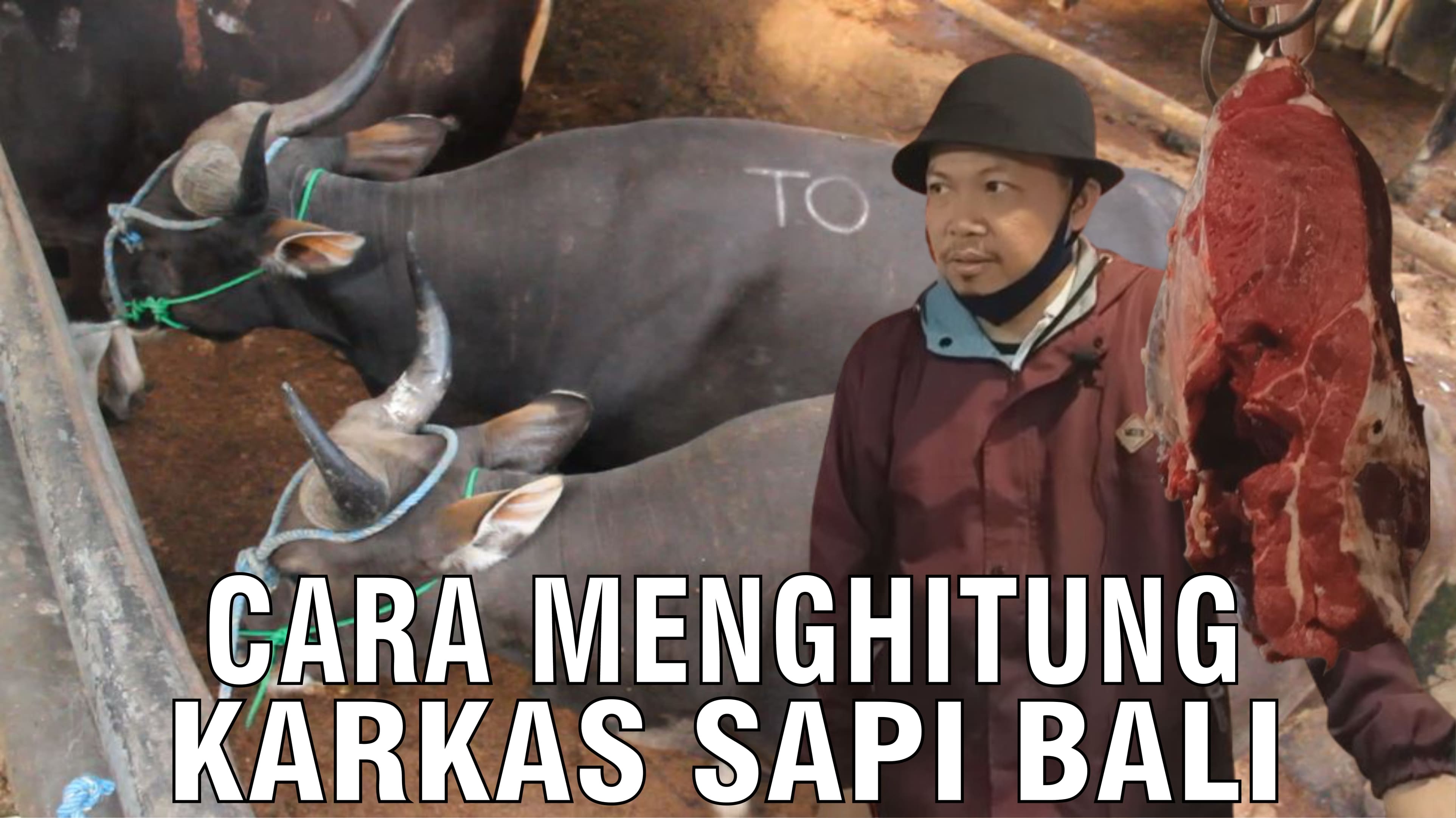 gb-30092024-06.52.17-Cara-Menghitung-Karkas-Sapi-Bali.jpg