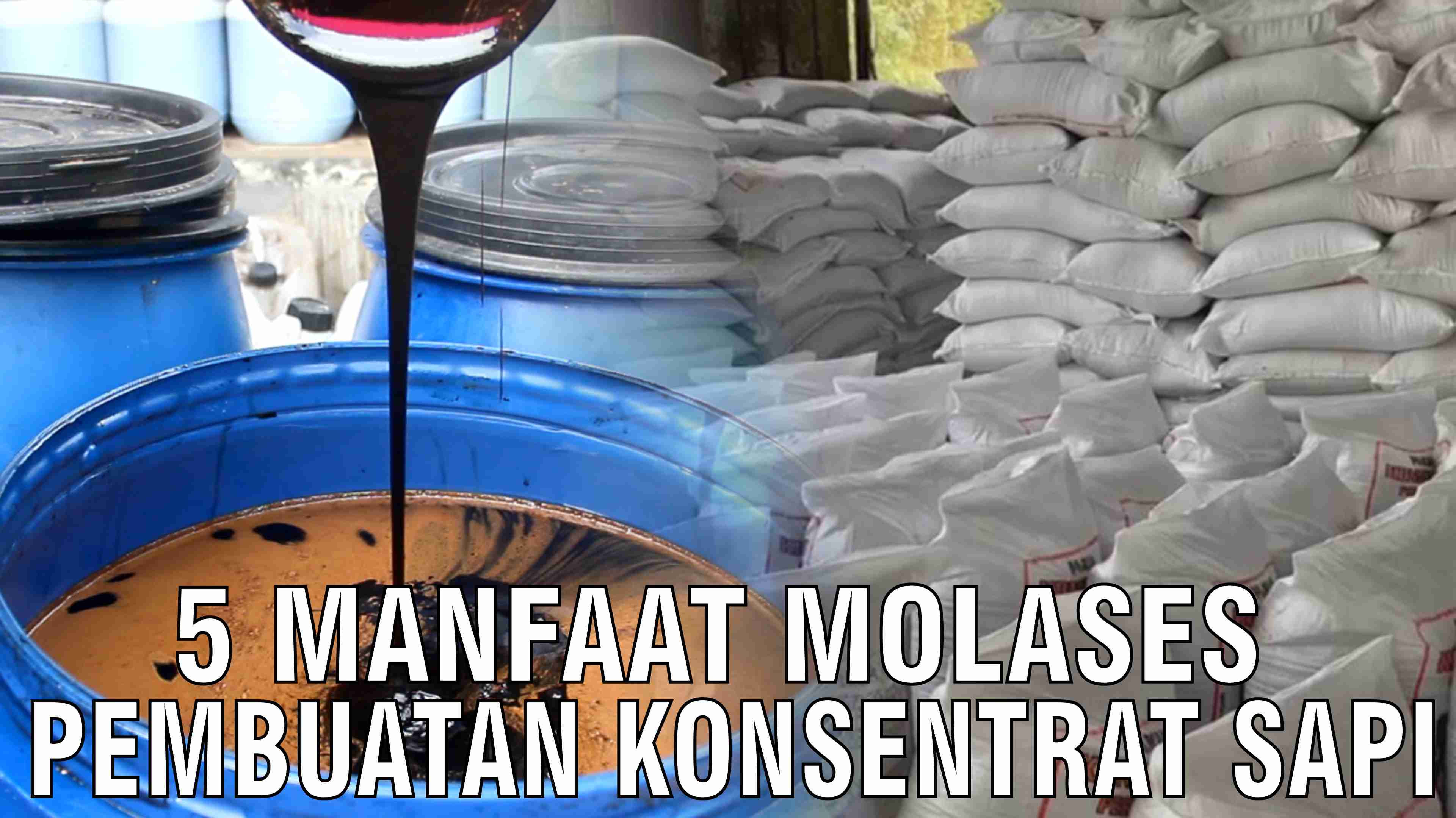 gb-30122024-05.50.18-5-Manfaat-Molases-Pembuatan-Konsentrat-Sapi.jpg