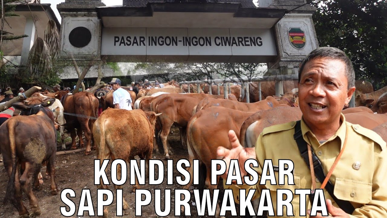 gb-31072023-04.14.01-Pasar-Hewan-Sapi-Purwakarta.jpg