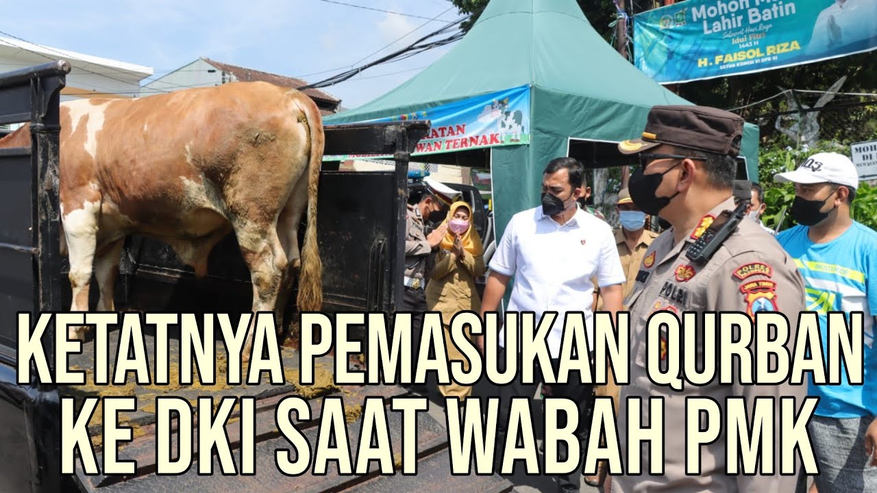 gb-31102023-04.34.48-Susahnya-Pasokan-Sapi-DKI-Jakarta-Qurban-2022-Karna-Wabah-PMK.jpg