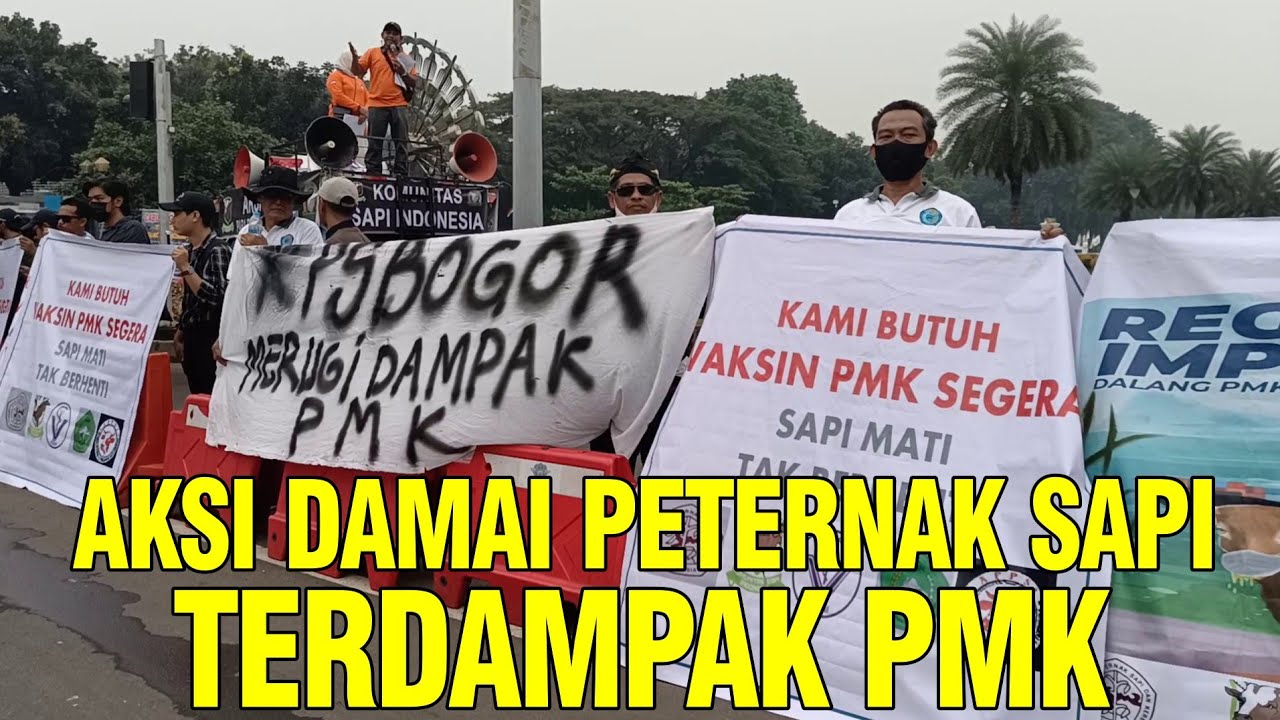 gb-31102023-08.15.45-Tuntutan-Peternak-Untuk-Pemerintah-Atasi-PMK-Sapi.jpg