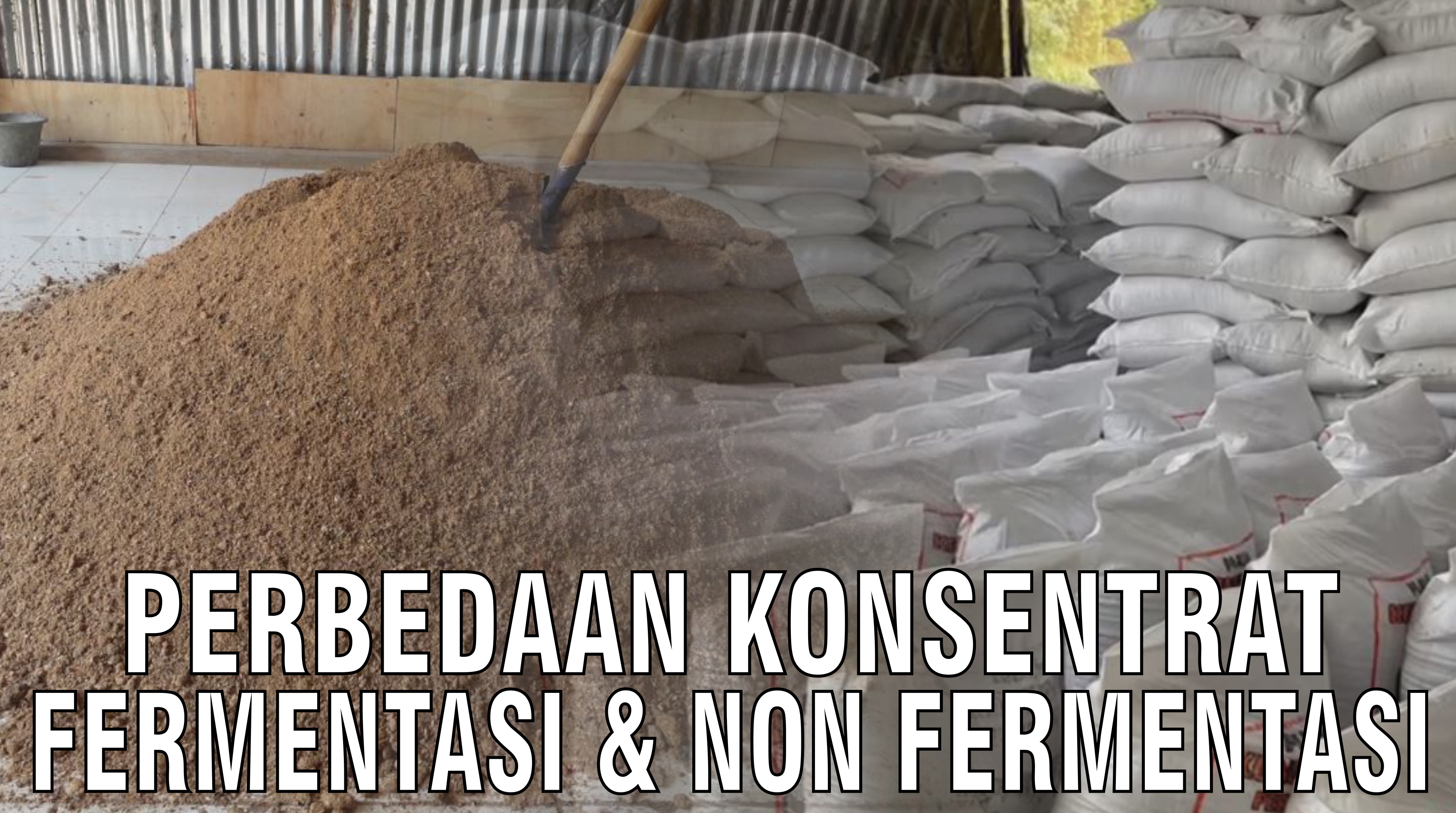 gb-31102024-03.19.08-Perbedaan-Konsentrat-Fermentasi-Dan-Non-Fermentasi.jpg